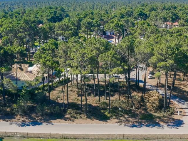 Moradia de Luxo com Piscina e Jardim na Herdade da Aroreira