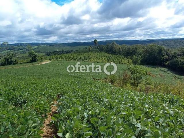 Terreno na Lapa 43840m2