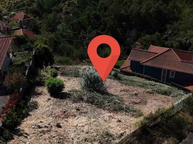 Terreno na levada da serra Rochão Achadinha Camacha
