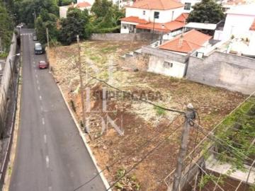 Terreno na Penteada quase plano |com projeto aprovado