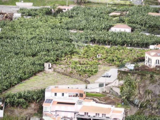 TERRENO NA PONTE DOS FRADES EM CÂMARA DE LOBOS COM VISTA FABULOSA. 1.600m2