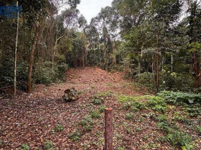 Terreno na praia de Guaecá