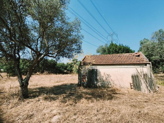 Terreno na Quinta do Anjo
