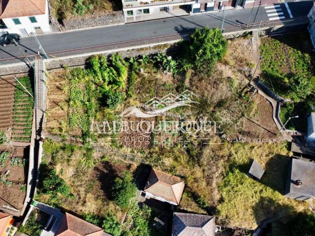 Terreno na Quinta Grande / Camara de Lobos