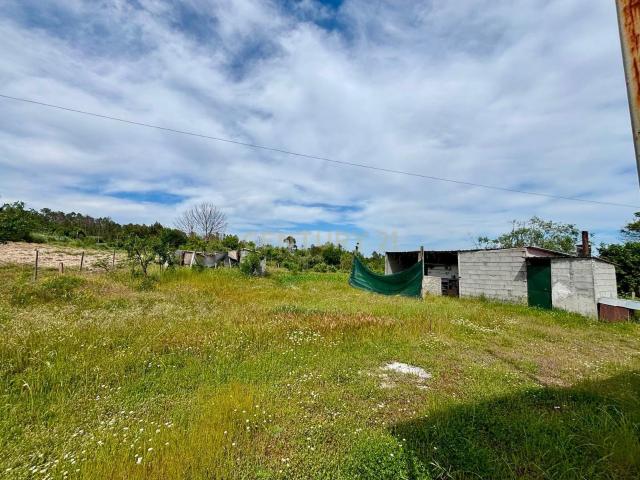 Terreno na Quinta das Lameiras, com furo e vedado