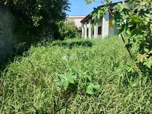Terreno na Restinga