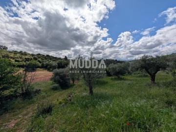 TERRENO COM RUÍNAS NA SEARA | Bragança
