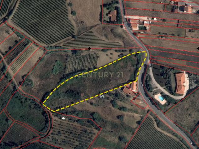 Terreno na Serra da Vila com viabilidade para 2 T4 duplex e vista até ao mar