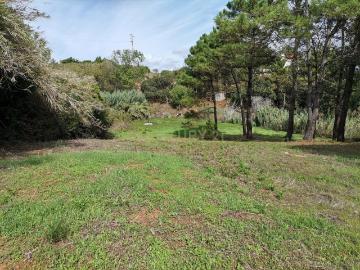 Terreno na Serra dos Mangues Cova do Poço