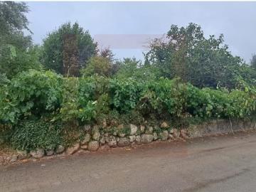Terreno na Várzea Grande, Vila Nova do Ceira