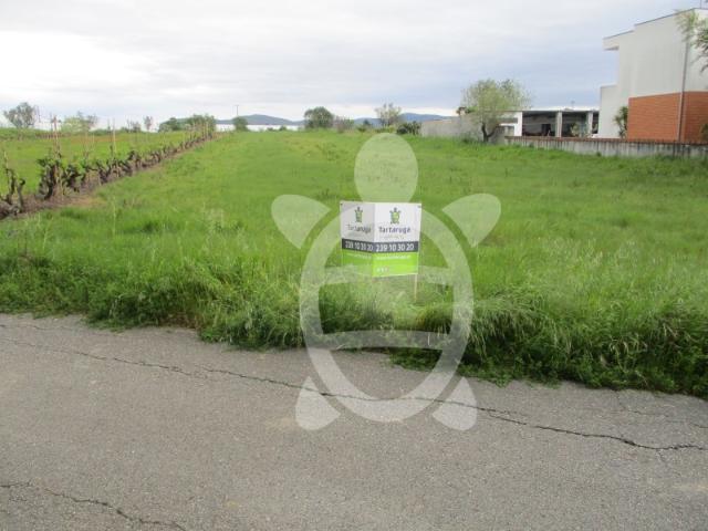 Terreno na Venda da Luísa com 3380m2