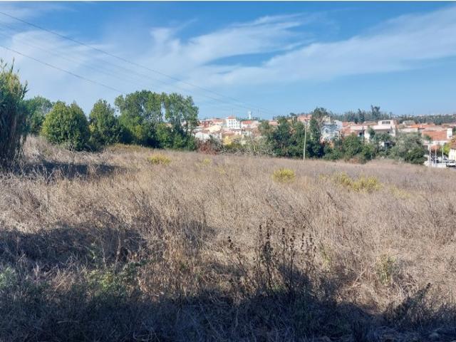 Terreno na vila de Monte Real para construção