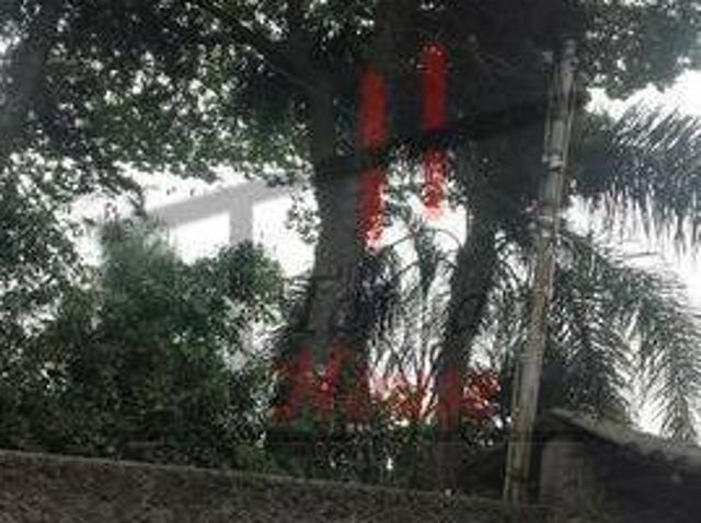 Terreno na Vila Ema