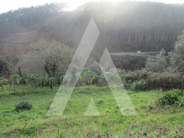 Terreno na zona de Anadia