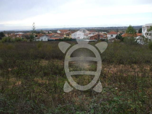 Terreno na Zona Industrial de Taveiro