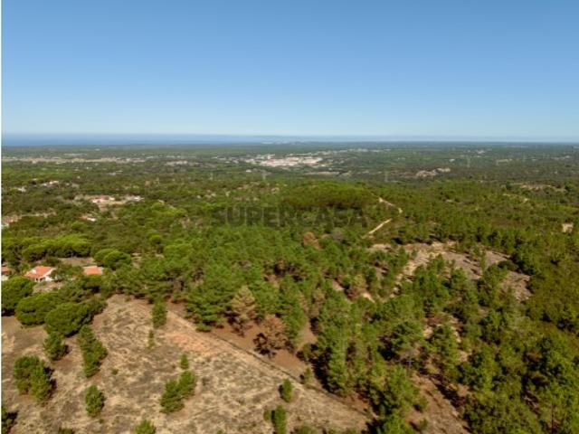 Terreno, nas colinas de Melides, Vale Figueira, Comporta