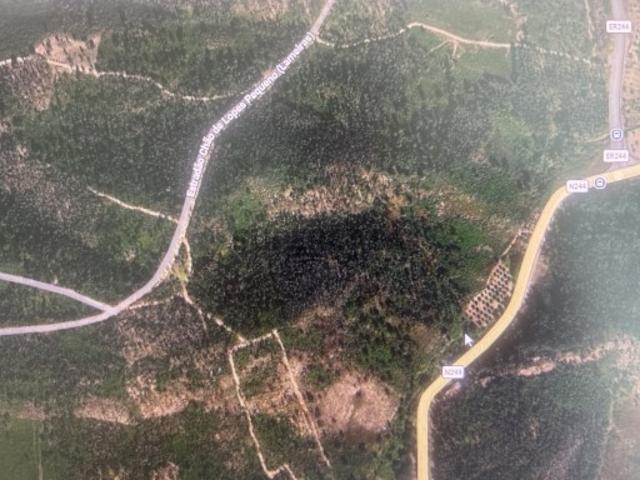 Terreno nas Lameiras Chão de Lopes Grande, Mação