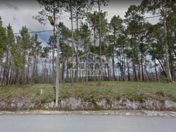Terreno | Nariz Aveiro