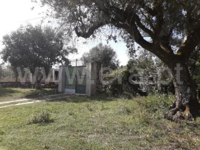 Terreno / Nelas, Vilar Seco