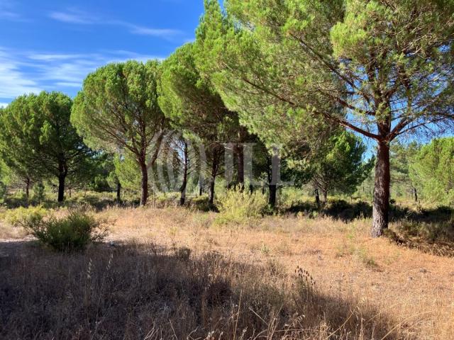 Terreno no Muda Reserve, Comporta