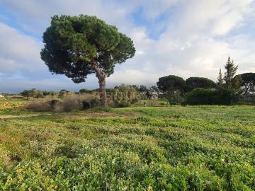 Terreno no meco para apoio agricola ou empreendimento turistico