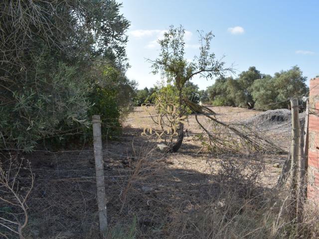 Terreno no Montijo