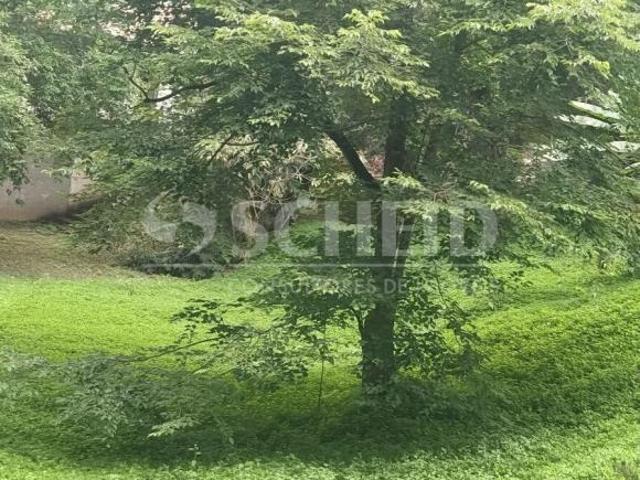 Terreno no Morumbi com 1.600m²