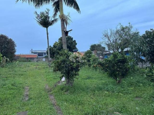 Terreno no Olaria