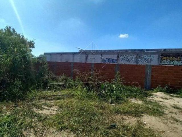 TERRENO NO ALÉM PONTE