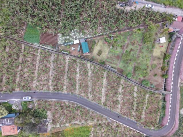 TERRENO NO ARCO DA CALHETA 1176m2
