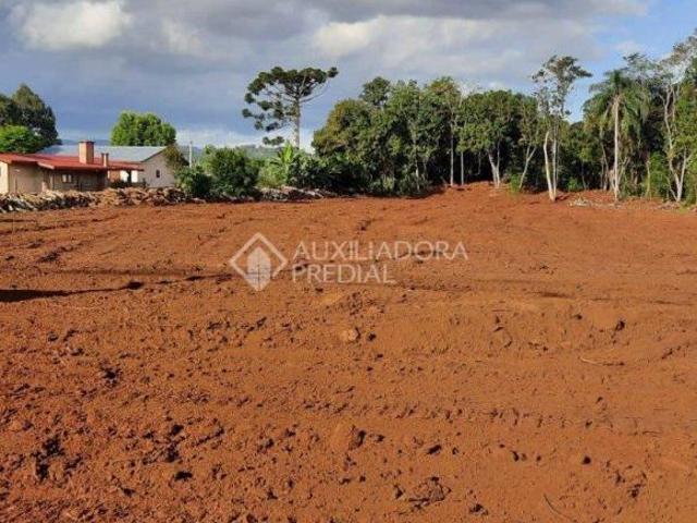 Terreno Bairro Travessão Dois Irmãos
