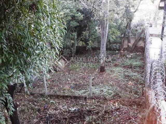 Terreno no bairro Tristeza