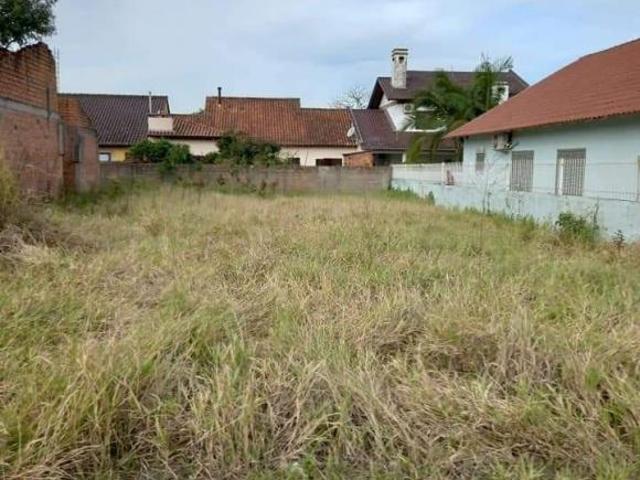Terreno no bairro Vila Afp