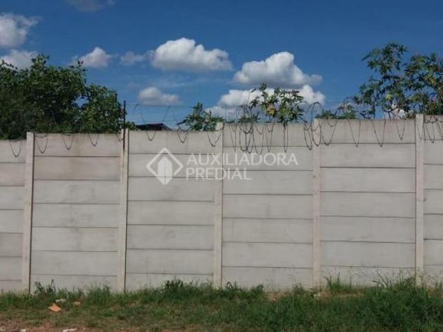 Terreno no bairro Vila Ipiranga