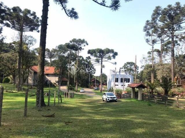 TERRENO NO BAIRRO CARACOL, EM CANELA