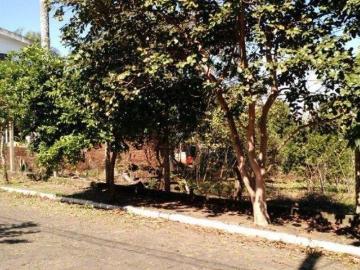 Terreno no bairro Centro