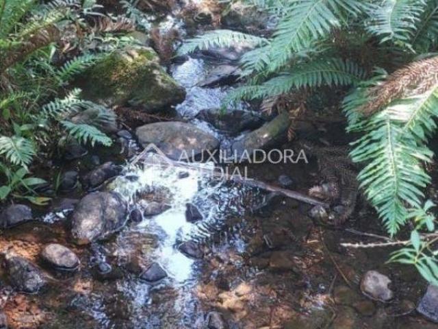 Terreno no bairro Centro