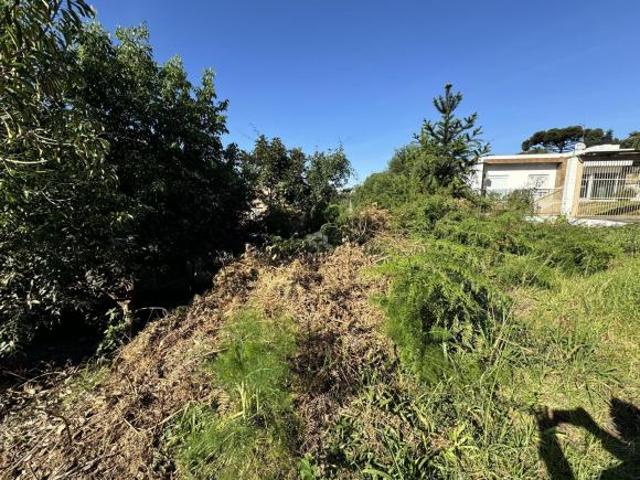Terreno no bairro Charqueadas