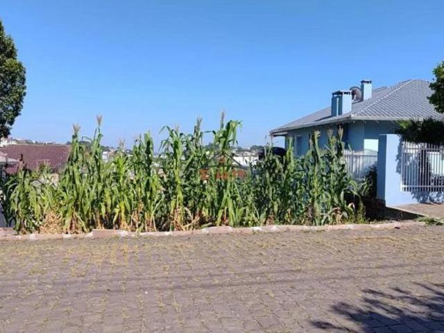 Terreno no Bairro Cruzeiro em Farroupilha/RS