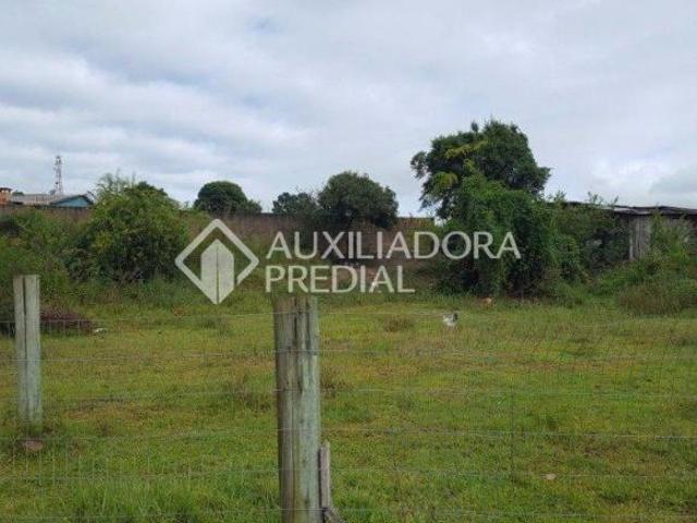 Terreno no bairro Ermo