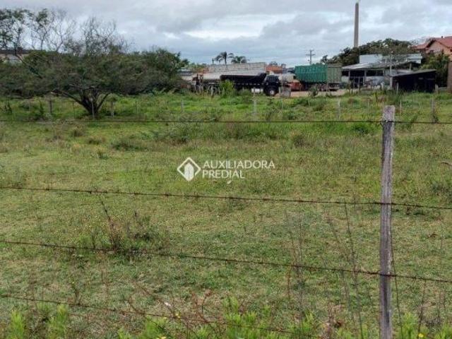 Terreno no bairro Ermo