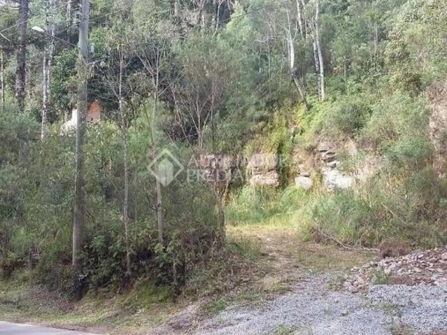Terreno no bairro Floresta