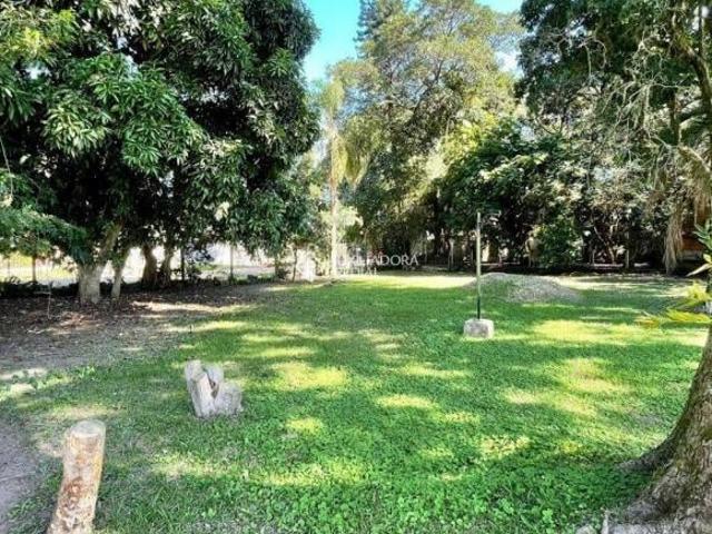 Terreno no bairro Florida