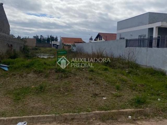 Terreno no bairro Florida