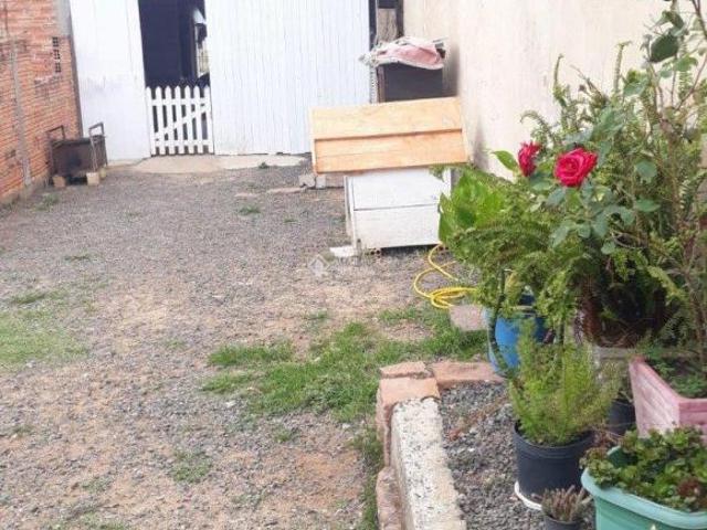 Terreno no bairro Guajuviras