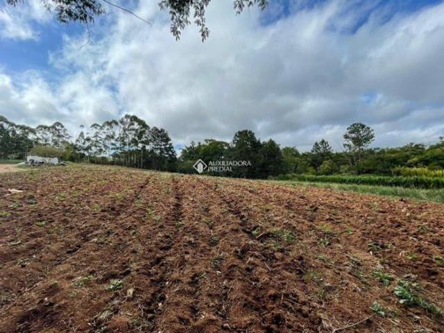 Terreno no bairro Hípica