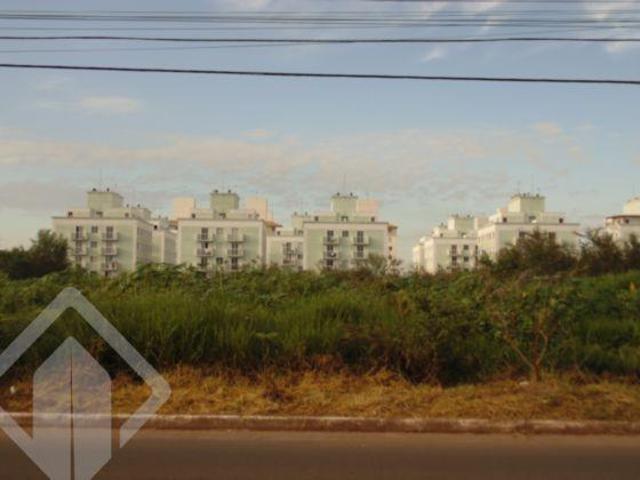 Terreno no bairro Igara