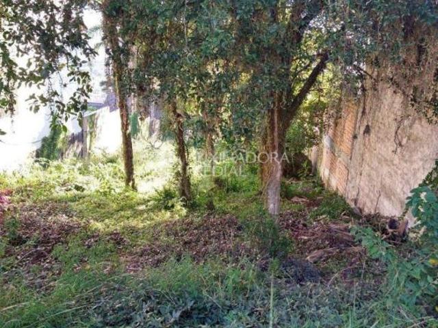 Terreno no bairro Jardim Isabel