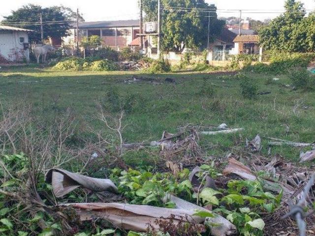 Terreno no bairro Liberdade