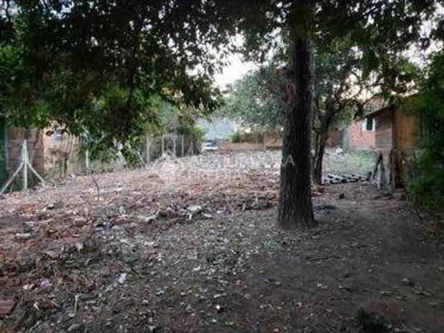 Terreno no Bairro liberdade com 13m x 33m